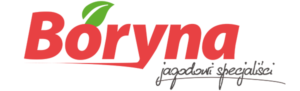 Logo_boryna