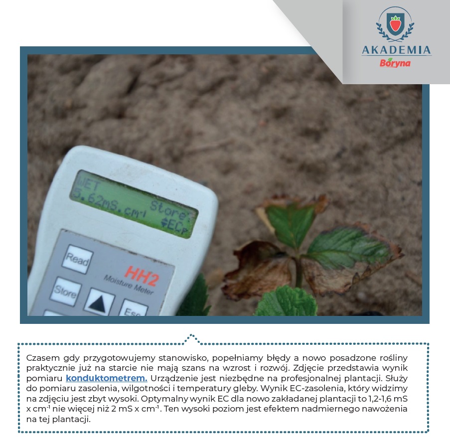 konduktometr - urządzenie do pomiaru zasolenia, wilgotności i temperatury gleby