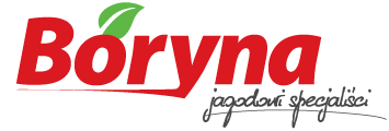 boryna-logo-jagodowi-specjalisci-1 boryna-logo-jagodowi-specjalisci-1