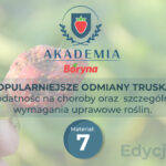 Najpopularniejsze odmiany truskawek ? podatność na choroby