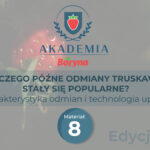 Dlaczego późne odmiany truskawek stały się popularne?