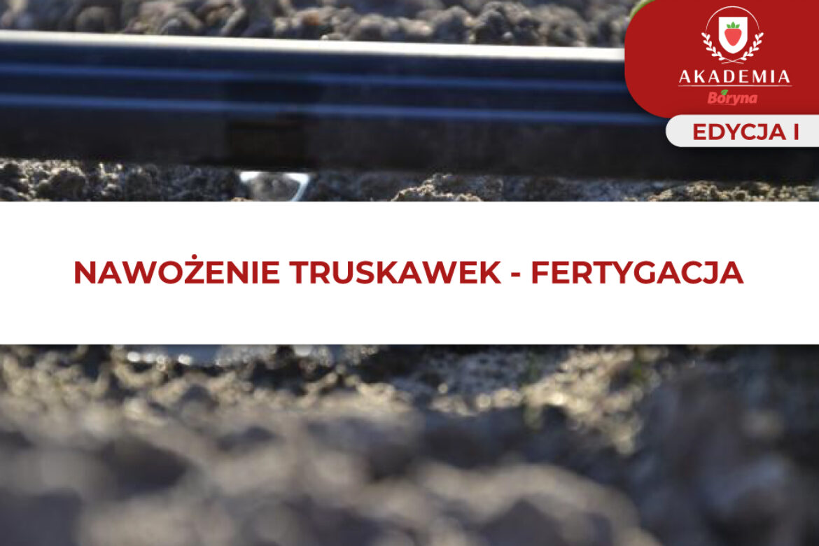 NAWOŻENIE TRUSKAWEK – FERTYGACJA główne