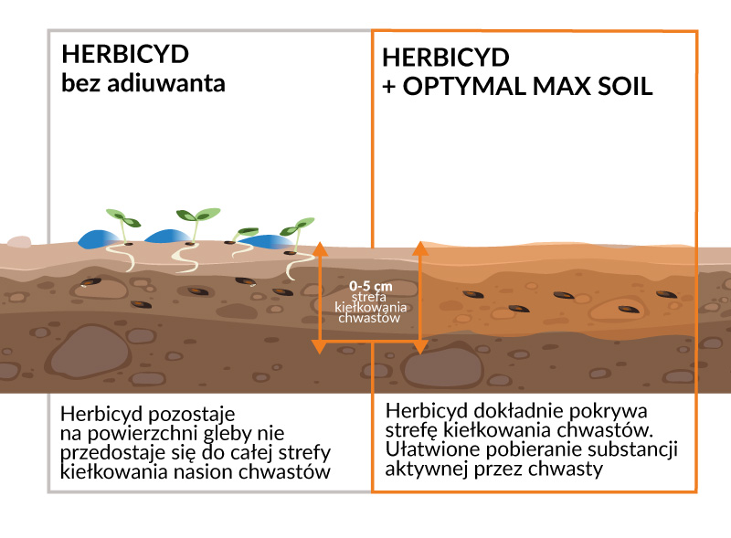 Porównanie działania herbicydu na powierzchni gleby - bez adiuwanta i z dodatkiem adiuwanta Optymal Max Soil.