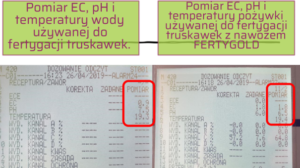 Pomiar EC, pH i temperatury wody i pożywki używanej do fertygacji truskawek - bez i z nawozem Fertygold.