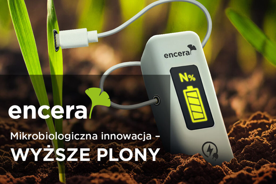 Encera-boryna-główna