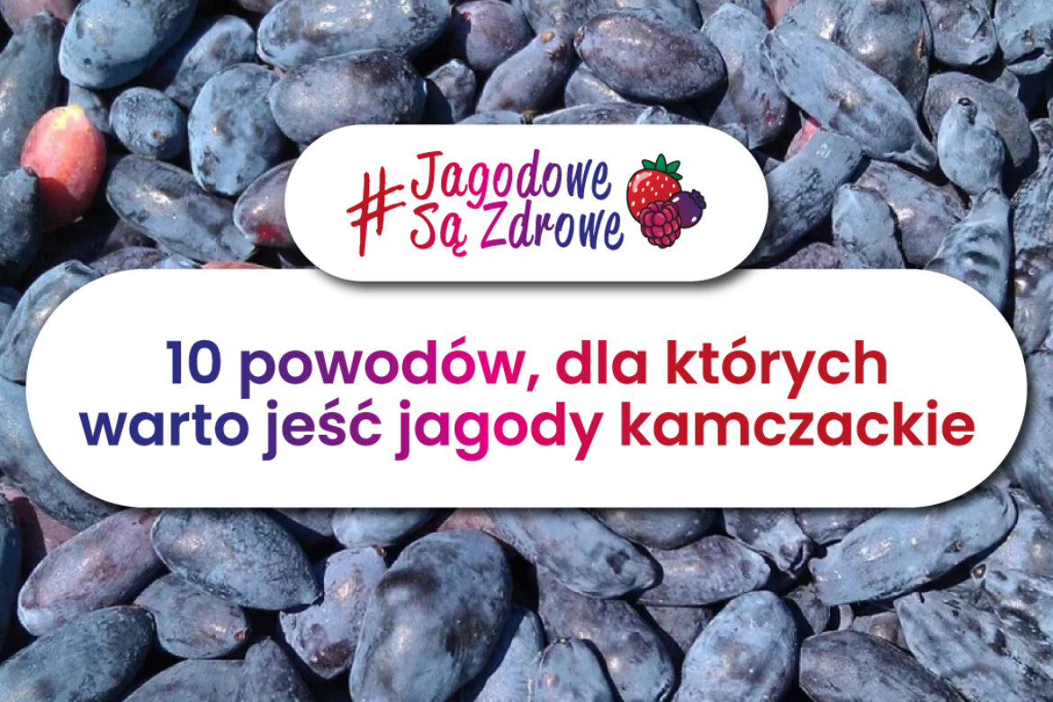 Owoce jagodowe są zdrowe. Dlaczego warto jeść jagody kamczackie?