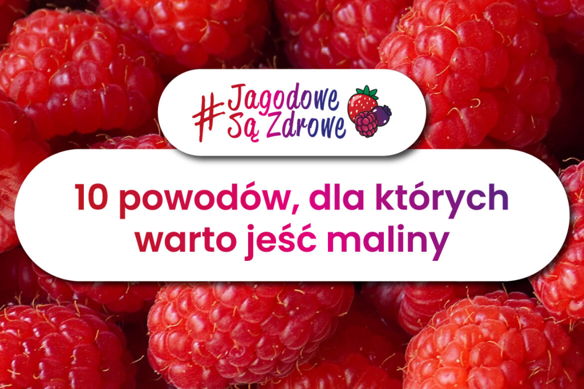 Owoce jagodowe są zdrowe. Dlaczego warto jeść jagody kamczackie?