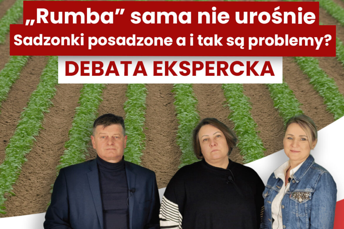 Miniaturka-artykuł