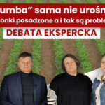 PROBLEMY Z SADZONKAMI TRUSKAWEK FRIGO