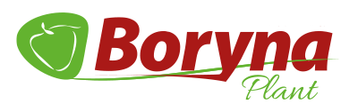 logotype